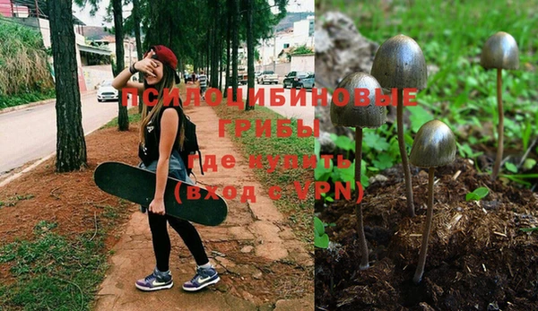 стафф Абаза