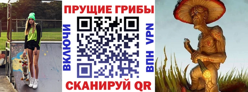 Псилоцибиновые грибы Psilocybine cubensis  shop как зайти  Циолковский 