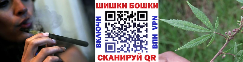 закладка  Циолковский  Каннабис семена 